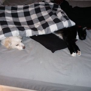 Meet your Posher, Tana